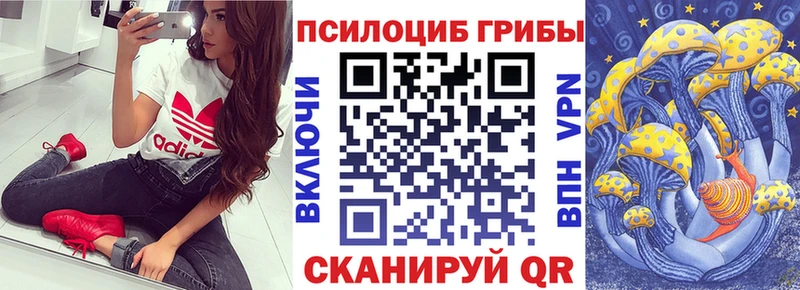 Псилоцибиновые грибы Magic Shrooms  Хадыженск 
